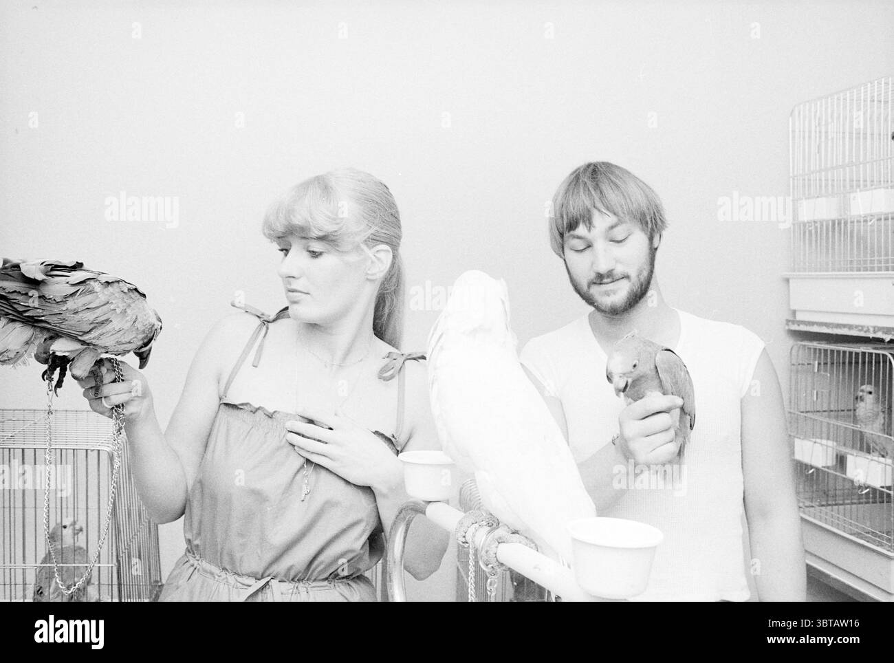 Ragazza con pappagalli animali, Whizgle News, Dutch Desk, Paesi Bassi, 1950 - 2000 il 17-07-1979. L'immagine contiene questi argomenti. In un ambiente interno con luce soffusa, due individui interagiscono con uccelli colorati appollaiati sulle loro braccia. La donna, vestita con un abito leggero e fluente che suggerisce un senso di facilità, le guarda leggermente alla sinistra, la sua espressione un mix di curiosità e affetto. I suoi capelli, rifiniti con onde morbide, si inquadra delicatamente sul viso. L'uccello che tiene è di colore scuro con piume testurizzate, creando un interessante contrasto con il suo abbigliamento. Accanto a lei, un uomo sta con un demeano rilassato Foto Stock