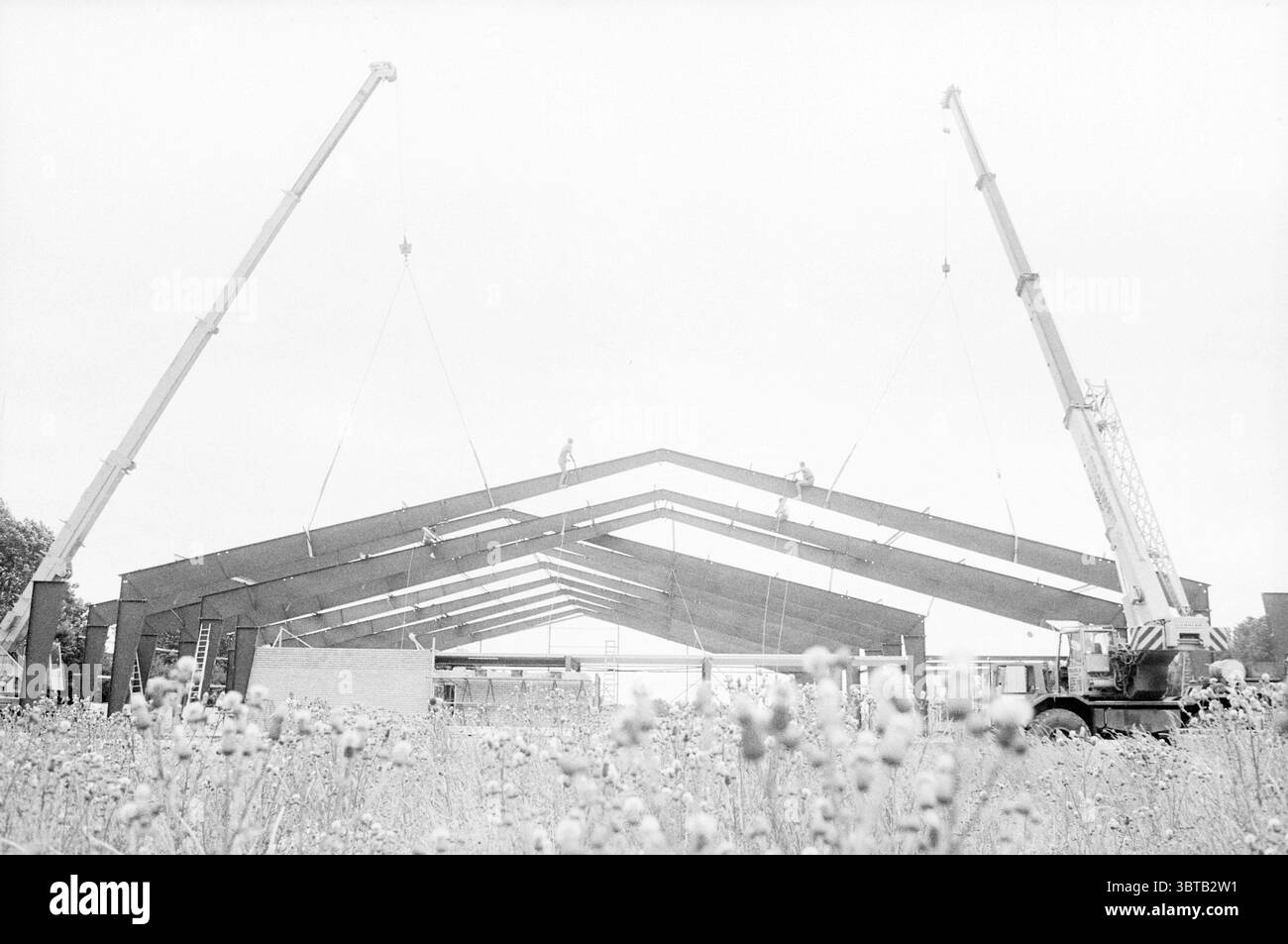 Complesso da tennis nel punto più alto di Meerberg, Whizgle News, Dutch Desk, Paesi Bassi, 1950 - 2000 il 04-07-1986. Questi argomenti vengono visualizzati nell'immagine. La scena cattura un cantiere che si trova contro un cielo soffocato e coperto, creando un'atmosfera un po' cupa. Due gru torreggianti dominano la composizione, le loro lunghe braccia si estendono verso l'alto con precisione. Sono impegnati nel sollevare grandi fasci scuri che formano lo scheletro di un edificio. Sotto le gru si possono vedere diverse figure, vestite con un equipaggiamento di sicurezza, che lavorano diligentemente per posizionare le travi. Le loro azioni trasmettono un senso di dentro Foto Stock