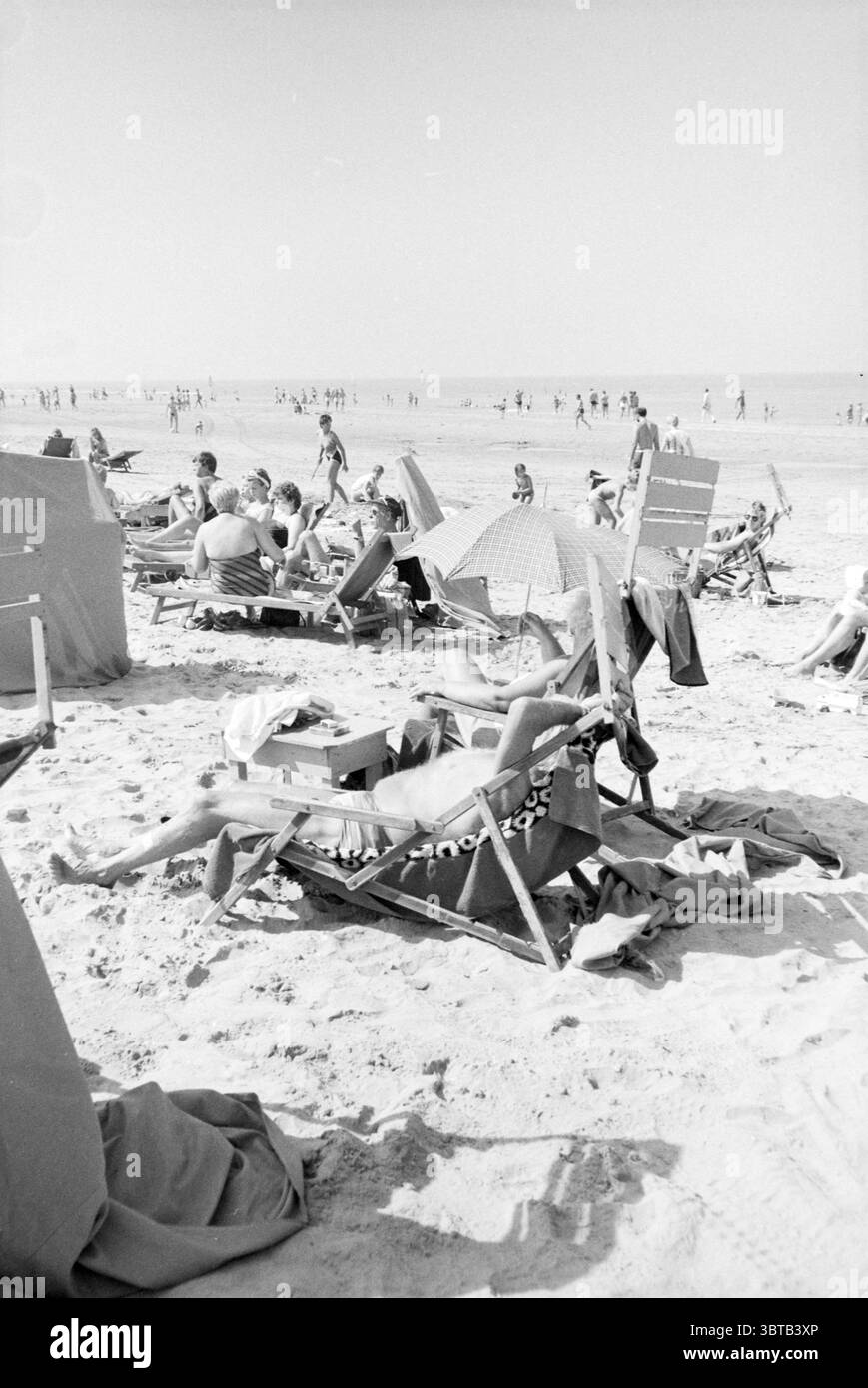 Bel tempo Spiaggia di Zandvoort Spiaggia e spiagge Zandvoort, Whizgle News, Dutch Desk, Paesi Bassi, 1950 - 2000 il 14-08-1985. L'immagine include questi argomenti. La scena raffigura un vivace ambiente sulla spiaggia pieno di gente che si gode una giornata di sole. La distesa sabbiosa si estende verso l'orizzonte, dove un calmo corpo d'acqua incontra il cielo. L'atmosfera e' vibrante e rilassata, riflettendo una tipica giornata in spiaggia. In primo piano, varie sedie a sdraio sono disposte a caso, alcune parzialmente crollate, indicando che gli amanti della spiaggia si stanno prendendo una pausa dal sole. Ombrelli in diversi tipi di disposizione Foto Stock