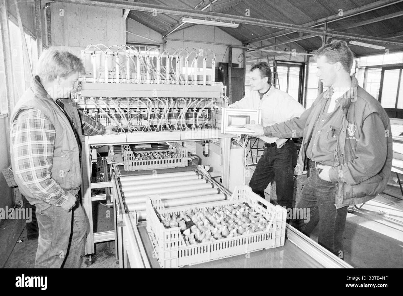 Piantatrice di lampadine fa. Paauw Rijnsburg Rijnsburg, Whizgle News, Dutch Desk, Paesi Bassi, 1950 - 2000 il 04-01-1996. L'immagine contiene questi argomenti. In un ambiente industriale spazioso, tre persone sono riunite intorno a una grande e complessa macchina che domina la scena. La macchina è dotata di numerosi tubi e fili, il che suggerisce un'operazione complessa, probabilmente correlata alla produzione o all'assemblaggio. Le sue superfici metalliche e meccaniche sono prevalentemente grigie e argentate, riflettendo l'atmosfera utilitaria dell'ambiente. La prima persona a sinistra indossa una camicia a scacchi sotto a. Foto Stock