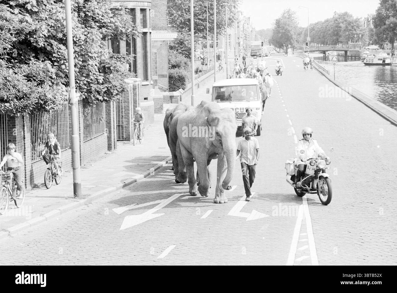 Elefanti attraverso il Leidsevaart sulla strada per il circo Haarlem Leidsevaart Paesi Bassi, Whizgle News, Dutch Desk, Paesi Bassi, 1950 - 2000 il 24-07-1979. L'immagine include questi argomenti. La scena è piena di attività, situata su un'ampia strada acciottolata che costeggia un canale. Due grandi elefanti passeggiano lungo la strada, la loro pelle ruvida e rugosa, risaltando in modo evidente contro i toni più chiari dell'ambiente circostante. I giganti gentili sono affiancati da un gruppo diversificato di persone, tra cui uomini e donne che camminano accanto a loro, alcuni sembrano guidare o gestire l'elefano Foto Stock