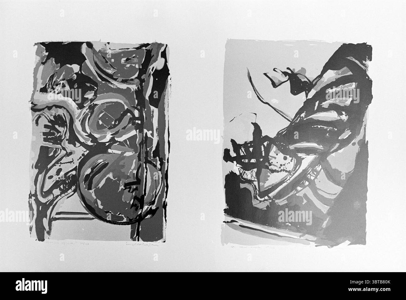 Due serigrafie Grafiker Gallery, Whizgle News, Dutch Desk, Paesi Bassi, 1950 - 2000 il 26-07-1993. Questi sono gli elementi dell'immagine. La scena presenta due distinte opere d'arte in bianco e nero, ognuna con una composizione astratta che attira l'attenzione attraverso forme e forme contrastanti. A sinistra, linee scure e vorticose e forme circolari si mescolano, suggerendo un senso di movimento e complessità. L'uso di neri profondi e grigi più chiari crea un'interazione dinamica, che conferisce una sensazione di profondità. Le texture appaiono a strati, come se invitassero l'osservatore ad esplorare la nua nascosta Foto Stock