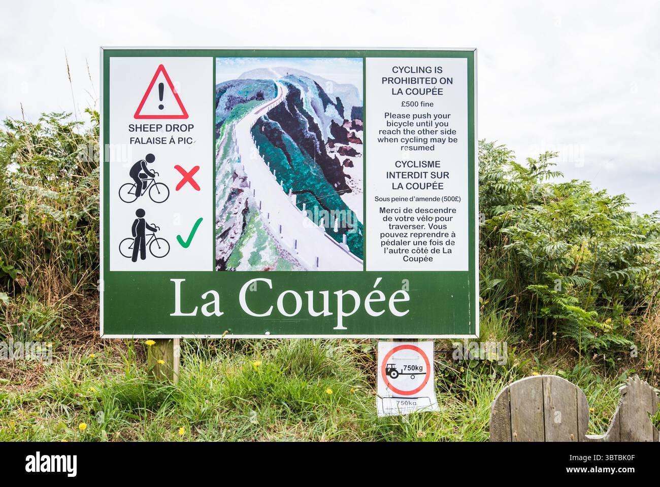 Uno stretto istmo conosciuto come la Coupée, un'alta cresta a 80 metri (262 piedi) sul mare che collega Great Sark a Little Sark Foto Stock