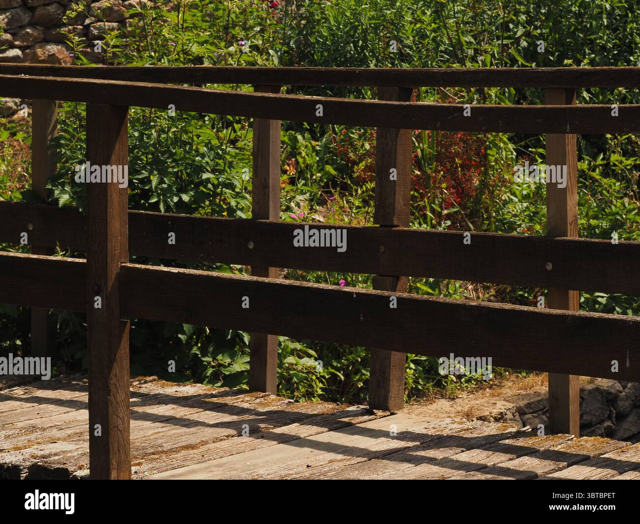 Passerella in legno circondata da vegetazione lussureggiante in un tranquillo ambiente naturale Foto Stock