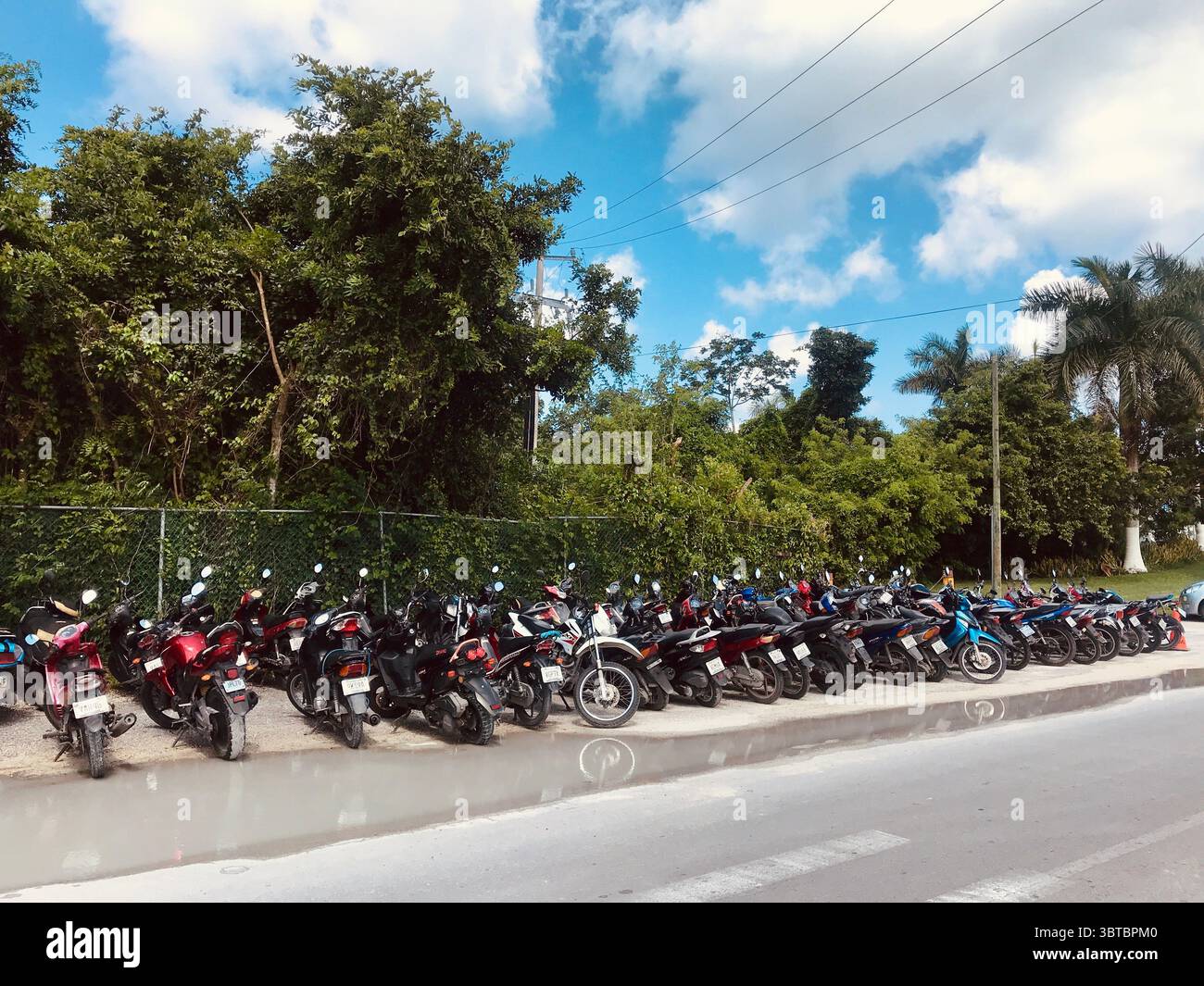 Scooter e motociclette parcheggiati in ambiente tropicale, Cozumel, Messico Foto Stock