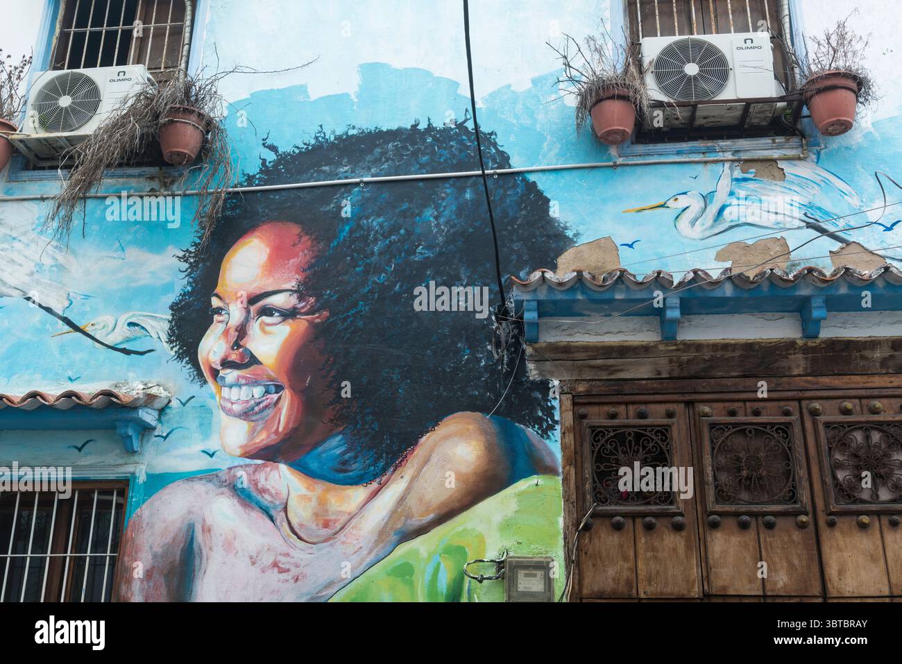 Grande murale di donna nera ridendo con acconciatura afro a Getsemani, Cartagena, Dipartimento di Bolívar, Colombia Foto Stock