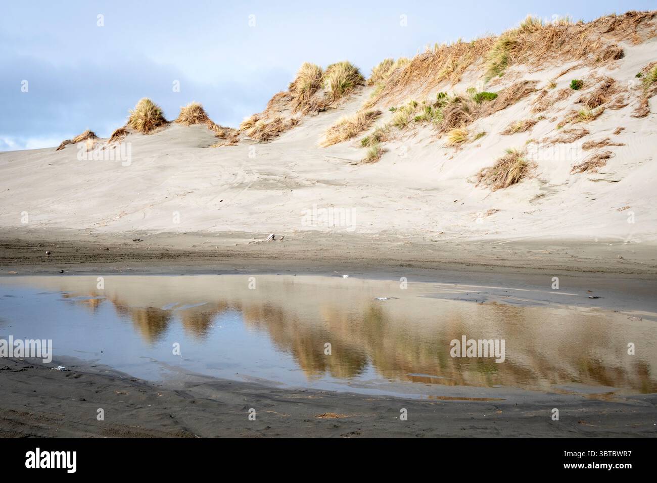 Sand Dunes, Foxton Beach, Manawatu, North Island, nuova Zelanda Foto Stock