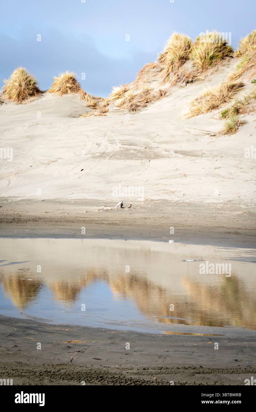 Sand Dunes, Foxton Beach, Manawatu, North Island, nuova Zelanda Foto Stock