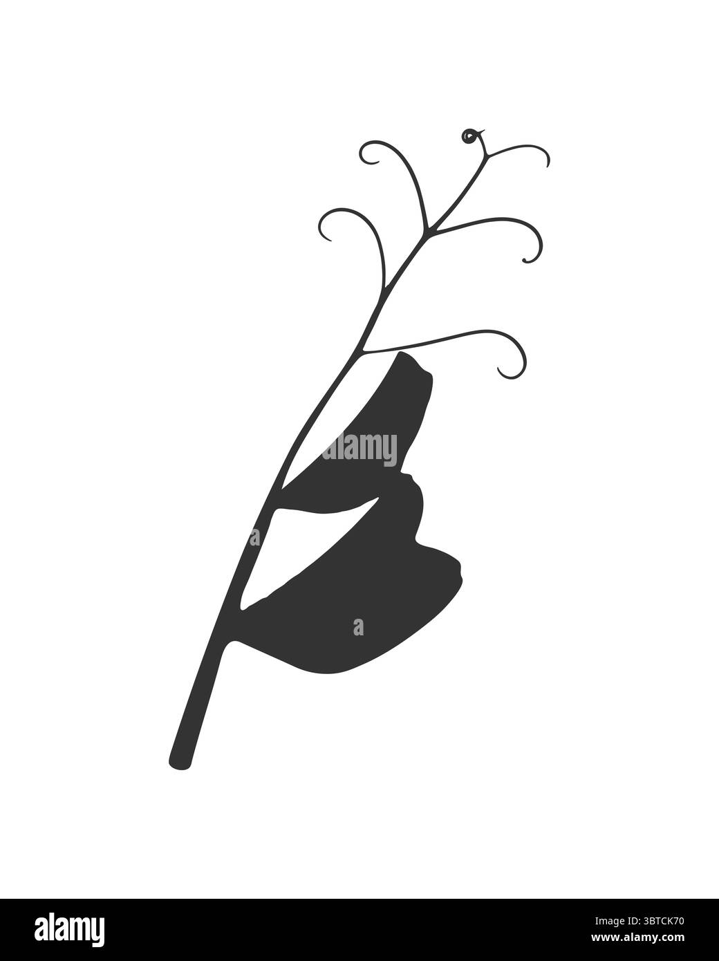 Ramoscello con tendini, silhouette piselli verdi. Stampa vegetale scura su sfondo bianco. Illustrazione vettoriale Illustrazione Vettoriale