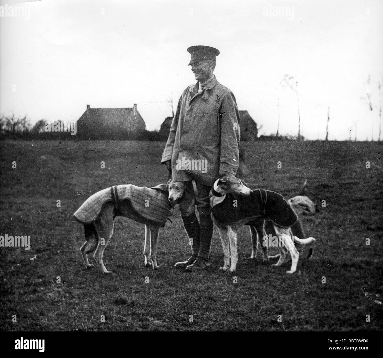 Generale di brigata C J Briggs , della 1a Brigata di cavalleria con i levrieri ai billets invernali di Fletre , Francia . 1914 Foto Stock