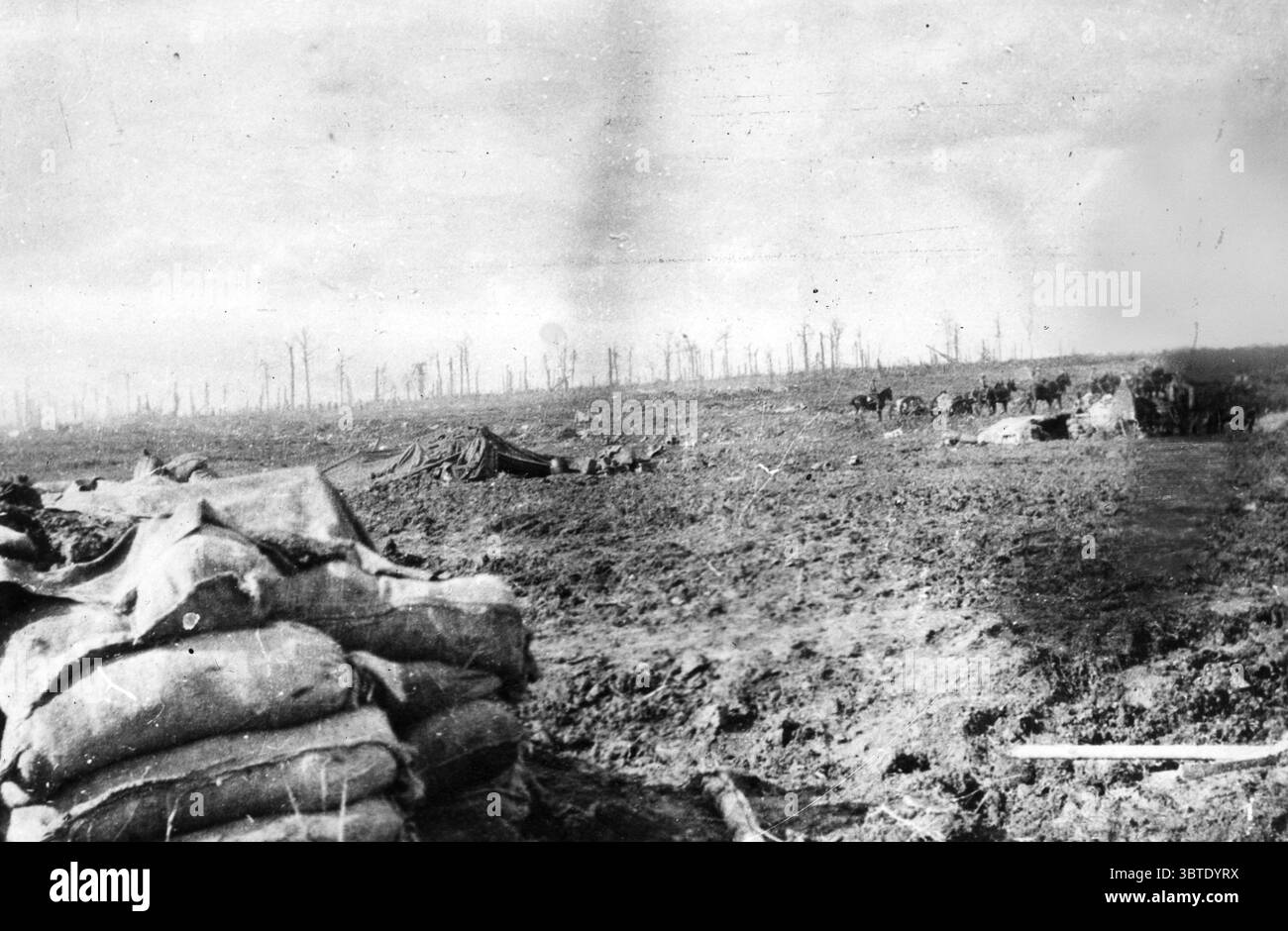 High Wood ( Bois des Foureaux ) dopo la sua cattura da parte della 47a Divisione . In primo piano , una squadra di cannoni della 2nd Battery New Zealand Field Artillery va avanti . 1916 Foto Stock