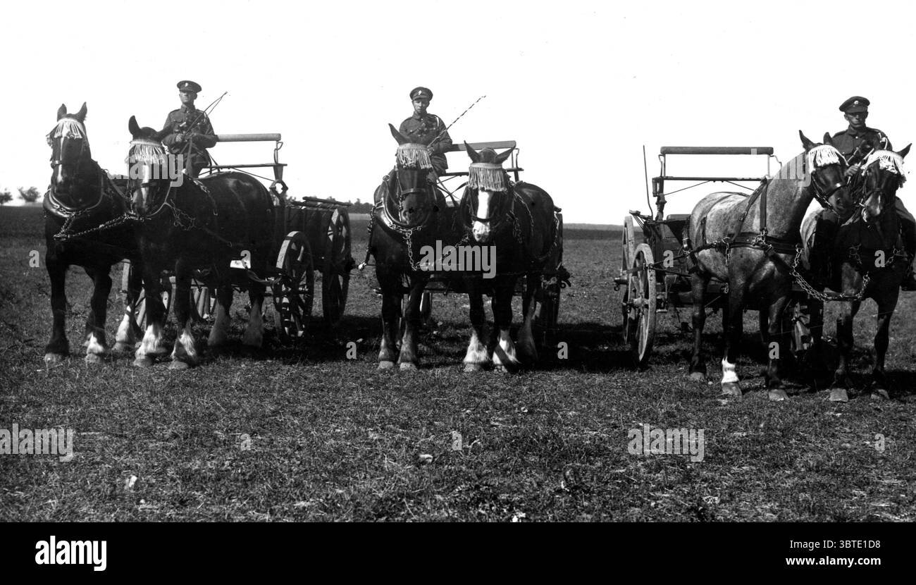 I carri di rifornimento britannici sono pronti con i cavalli sulle redini . 1914 - 1918 Foto Stock