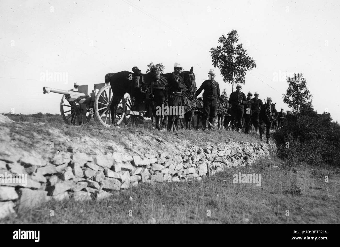Artiglieria francese con cannoni da campo e cavalli . 1914 - 1918 Foto Stock