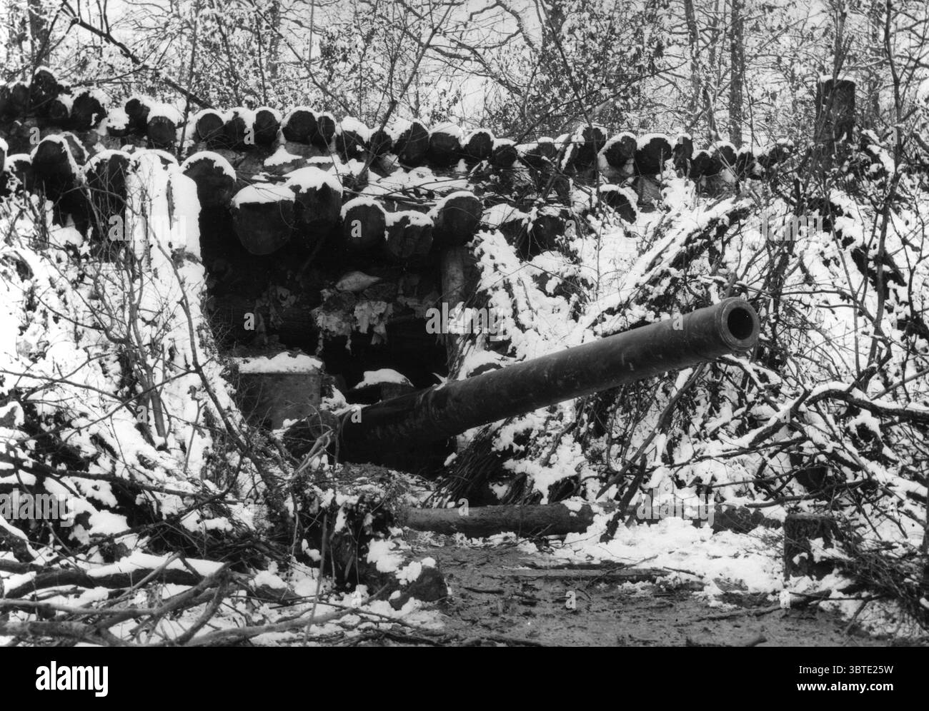 Artiglieria francese a Bois d'Hermeville. 1916 Foto Stock