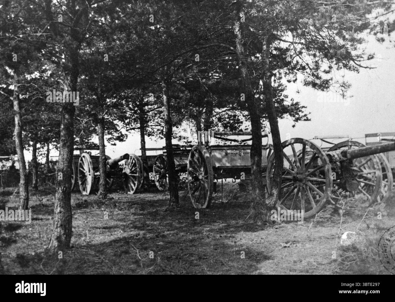 Campagna 90 in Champagne , Collina 172 , batteria nascosta in un bosco . 1915 Foto Stock