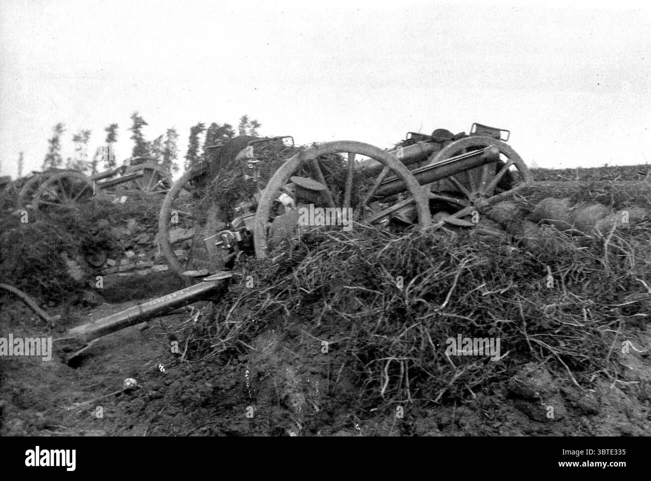 Battaglie di Messines . 18 pounder in azione. Bois de Ploegsteert . 1a Brigata di cavalleria . 1914 Foto Stock
