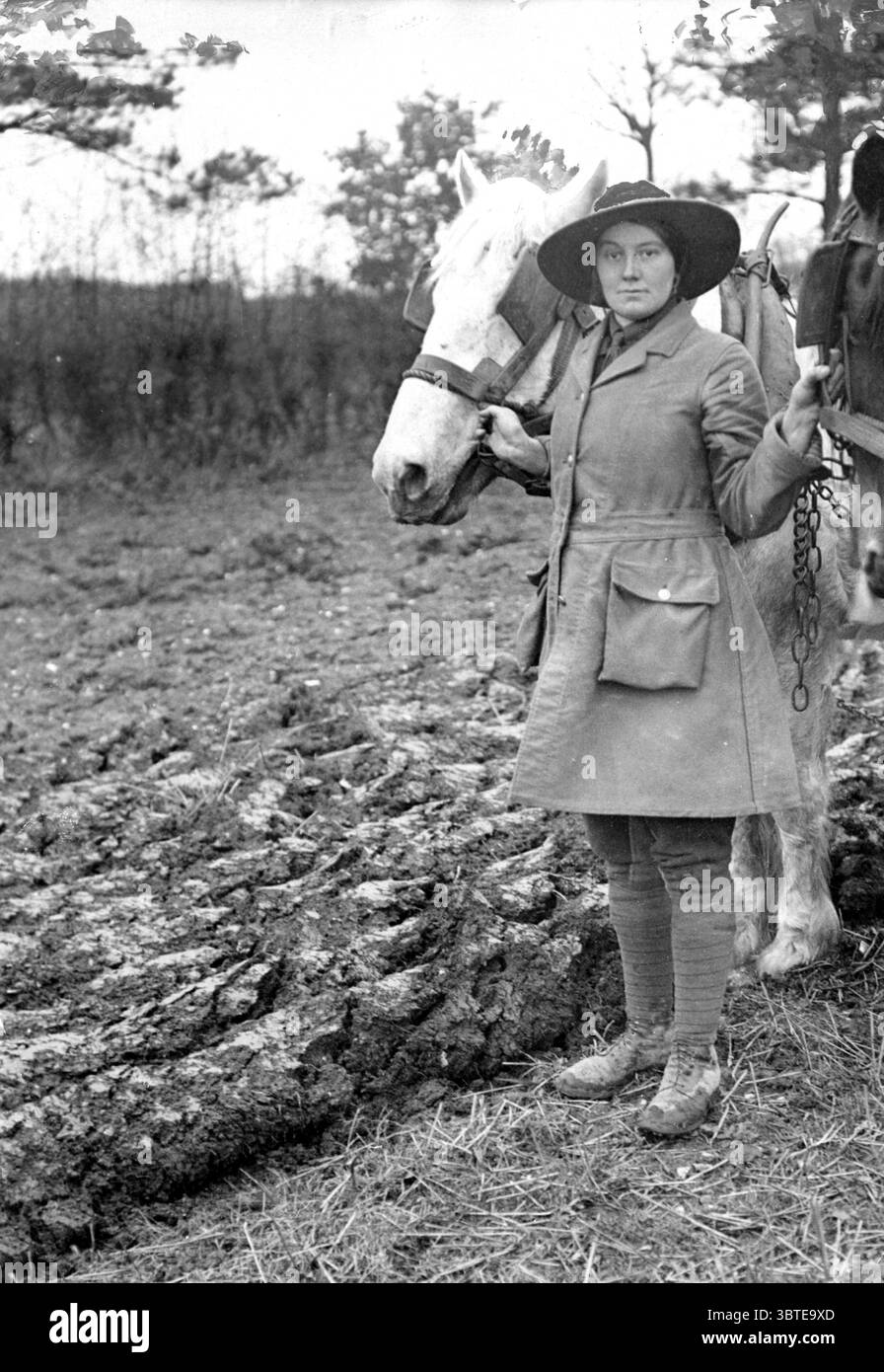 Il tempo della guerra lavora per le donne. WWI Land Girl aratura con cavalli da carretto. Il Board of Agriculture organizzò l'Esercito terrestre durante la grande Guerra, iniziando le attività nel 1915. Verso la fine del 1917 c'erano oltre 250.000 - 260.000 donne che lavoravano come lavoratori agricoli. 20.000 nell'esercito terrestre stesso. ©TopFoto Foto Stock