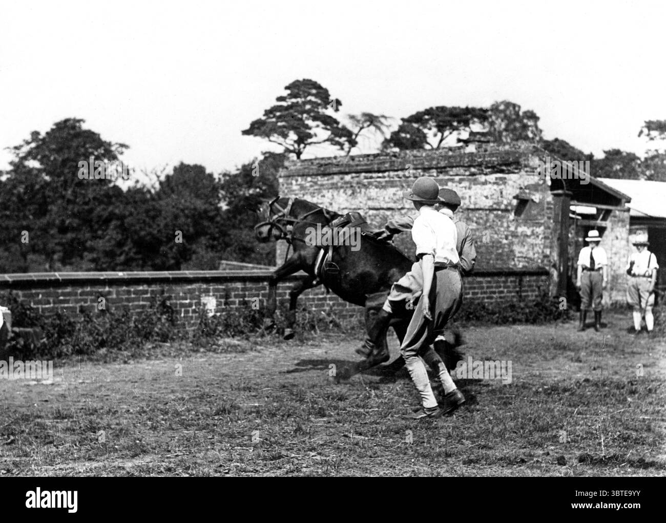 Il tempo della guerra lavora per le donne. WWI Land Girls con un mulo refrattario in allenamento. Il Board of Agriculture organizzò l'Esercito terrestre durante la grande Guerra, iniziando le attività nel 1915. Verso la fine del 1917 c'erano oltre 250.000 - 260.000 donne che lavoravano come lavoratori agricoli. 20.000 nell'esercito terrestre stesso. ©TopFoto Foto Stock