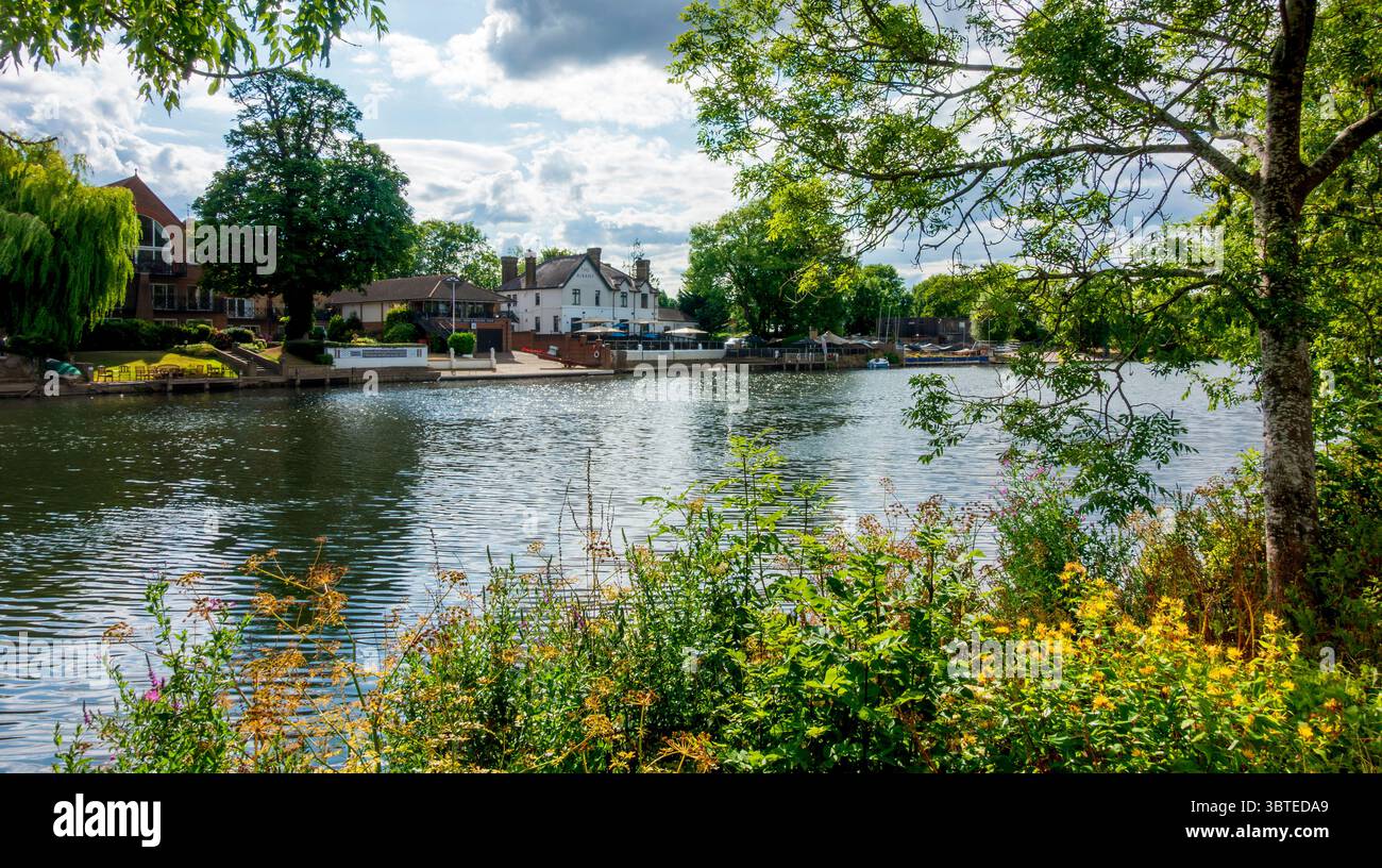 Il Tamigi al Tamigi Ditton in estate Foto Stock