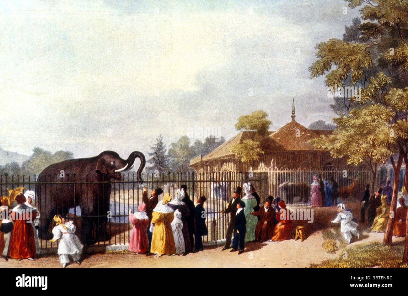 Zoo di Londra in epoca vittoriana Foto Stock