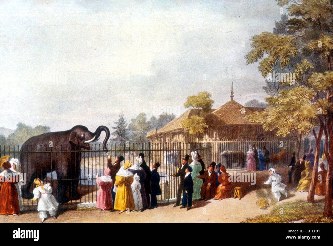 Una vista dello Zoo di Londra in epoca vittoriana Foto Stock
