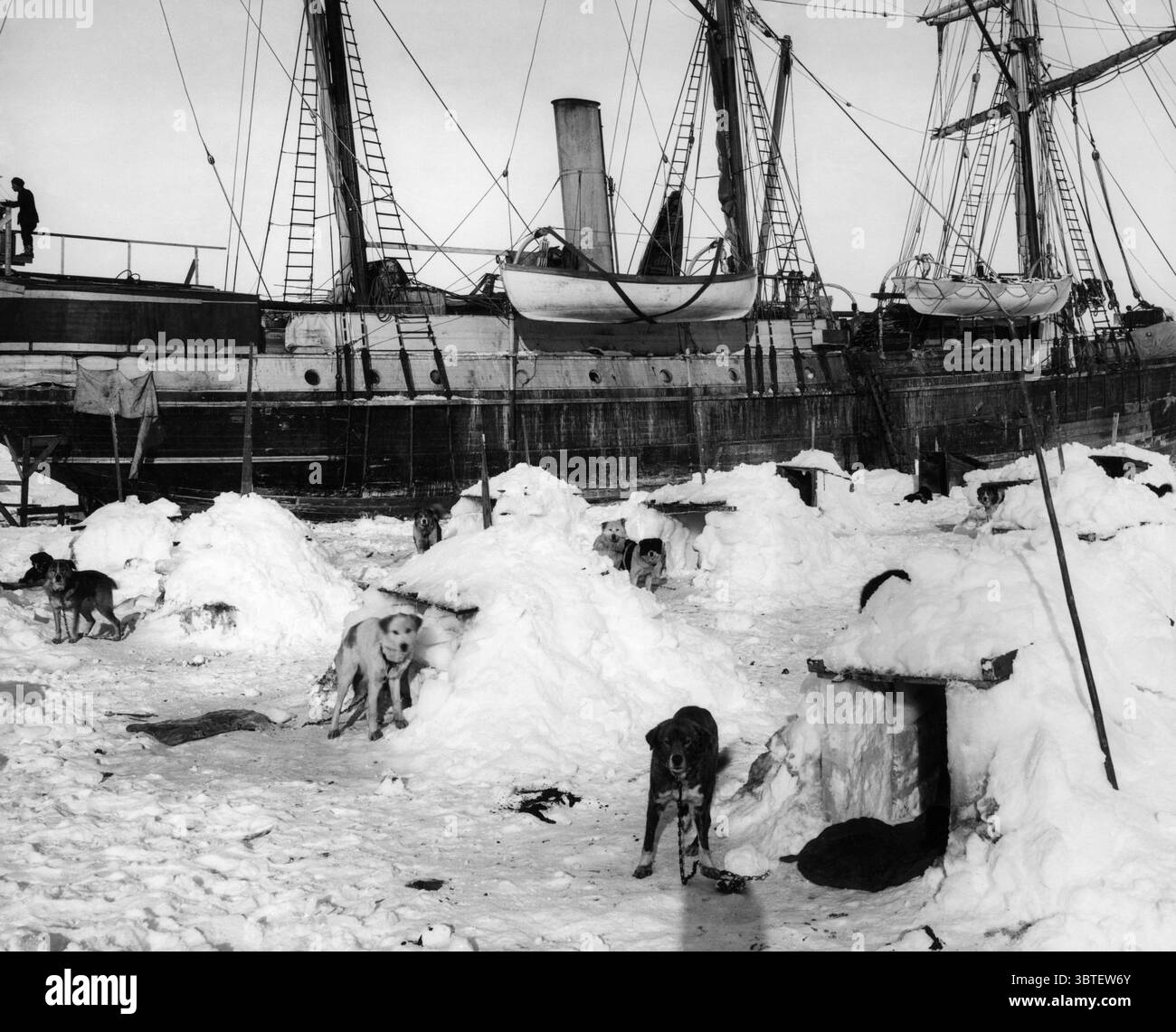 1915 - la nave "Endurance" ghiacciata dal ghiaccio durante la spedizione in Antartide del 1914 - 1916 guidata da Shackleton. I membri dell'equipaggio cercarono disperatamente di liberare il ghiaccio con le asce di prelievo, ma alla fine la nave si bloccò e fu demolita. Nella foto di fronte alla nave ci sono i cani da slitta fuori dalle loro canne ghiacciate. Foto Stock