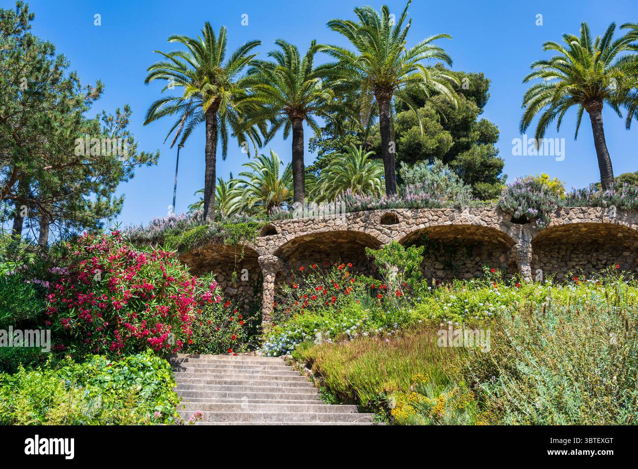 Viadotto di pietra e palme nei giardini austriaci (Jardins d’Austria) nel Parco Güell nel quartiere Gràcia di Barcellona, nella regione spagnola del Catalogna Foto Stock