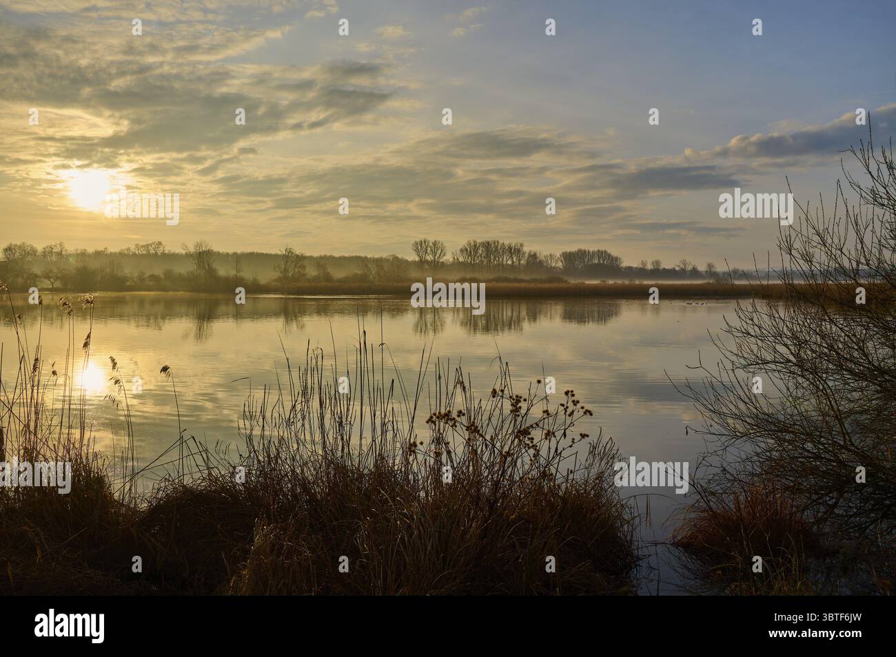 Tranquilla alba sul lago con luce dorata e natura tranquilla, Reinheimer Teich, Reinheim, Assia, Germania Foto Stock