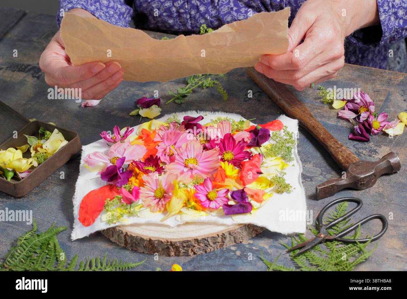 Tatakizome. Fiori disposti su tessuto e ricoperti di carta per creare arte con "martellamento", l'artigianato giapponese di trasferire pigmenti floreali. Foto Stock