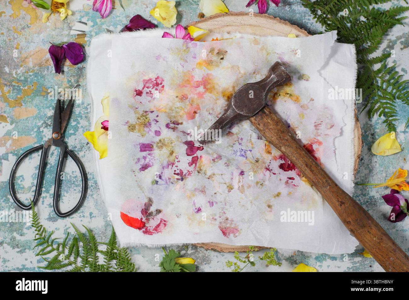 Tatakizome. Fiori disposti su tessuto e ricoperti di carta per creare arte con "martellamento", l'artigianato giapponese di trasferire pigmenti floreali. Foto Stock