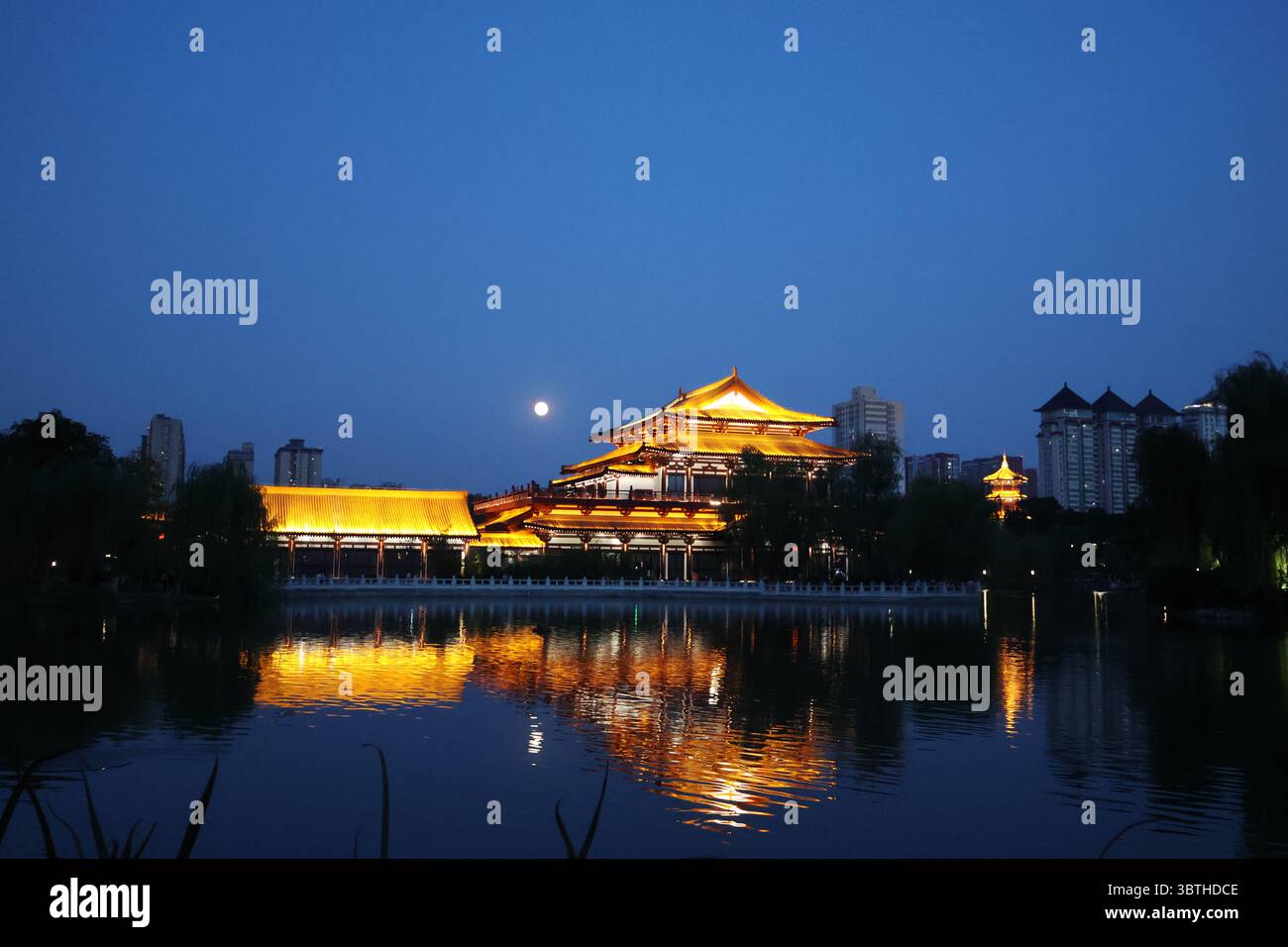 Scenario notturno del Parco Xingqing, Xi'an, Cina Foto Stock
