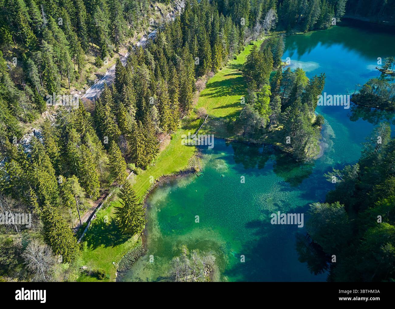 Vista aerea del vivace lago verde che rispecchia la lussureggiante foresta, un paesaggio tranquillo dove la tavolozza della natura si fonde perfettamente, Nassereith, Tirolo, Austria. Foto Stock