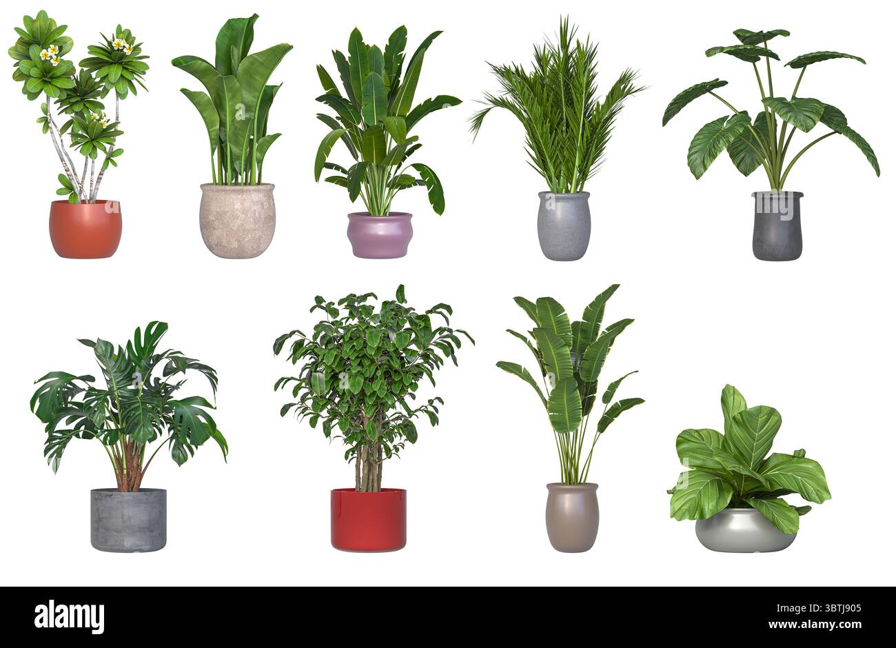 diverse piante in vaso isolate su uno sfondo trasparente 3d. Foto Stock