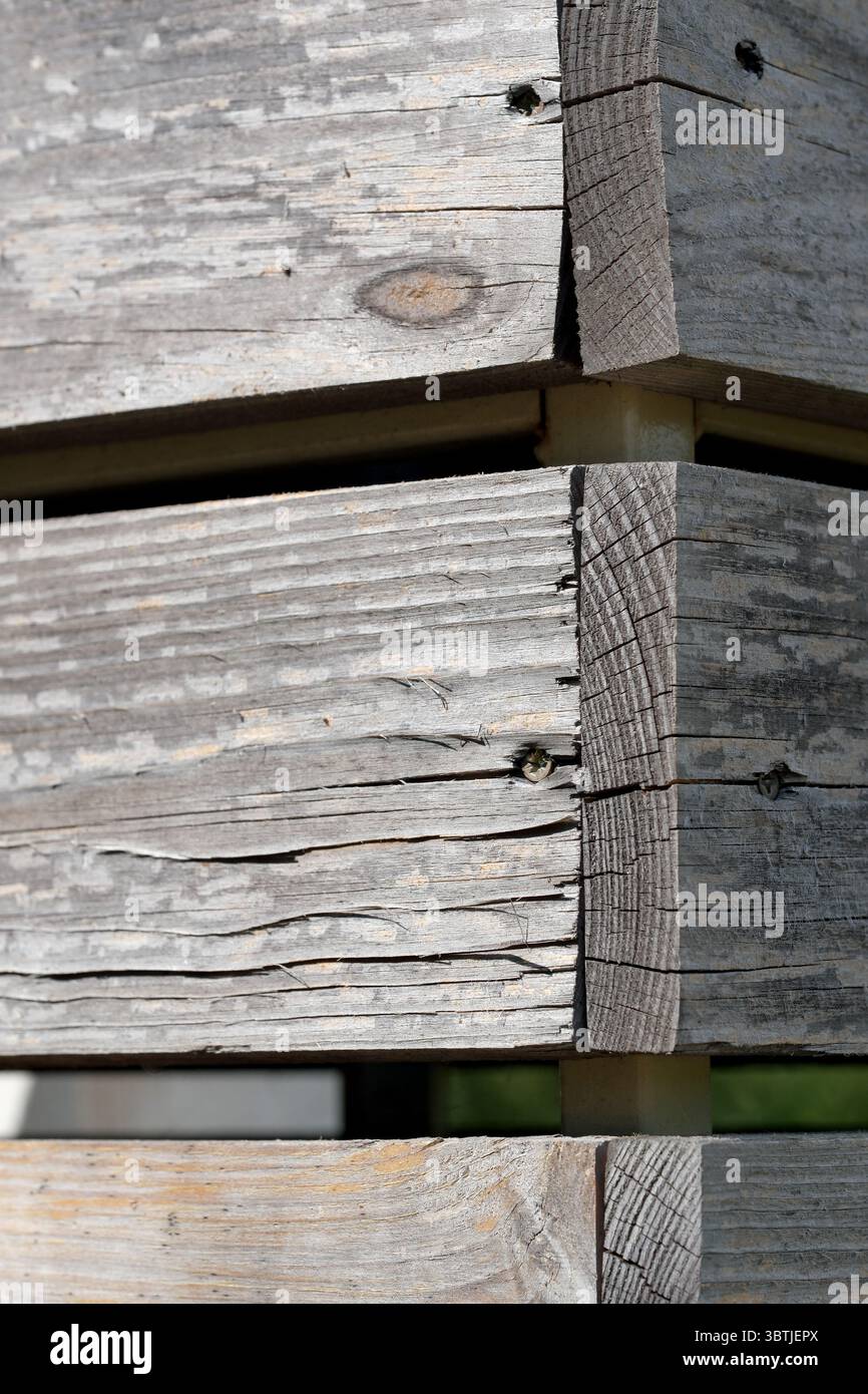 Sfondo in legno da pannelli luminosi testurizzati non verniciati Foto Stock