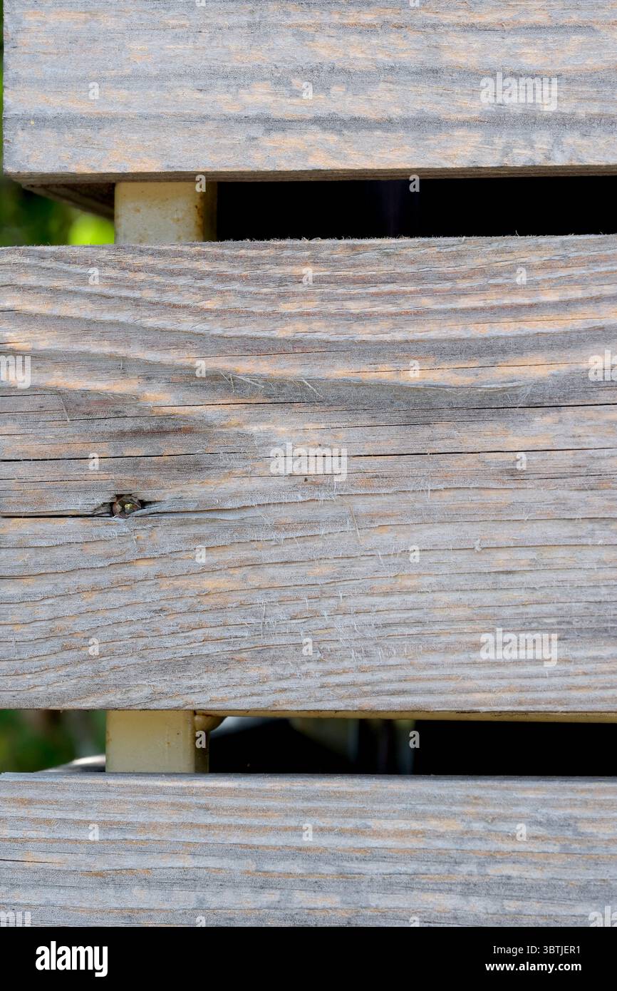 Sfondo in legno da pannelli luminosi testurizzati non verniciati Foto Stock