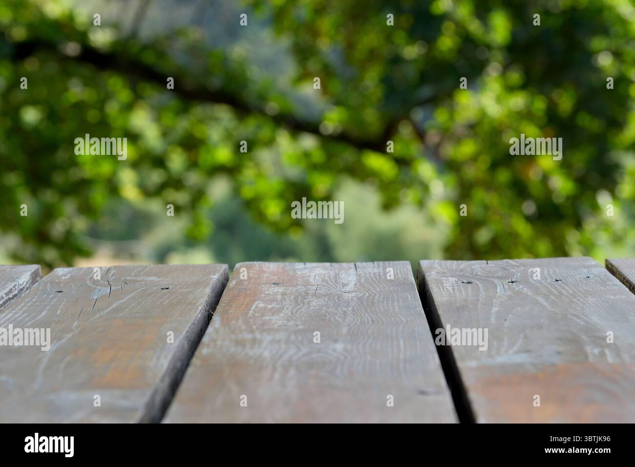 Sfondo in legno per testo, informazioni e area sfocata verde, vuoto per progetti di design, banner, progettazione di siti Web. Foto Stock