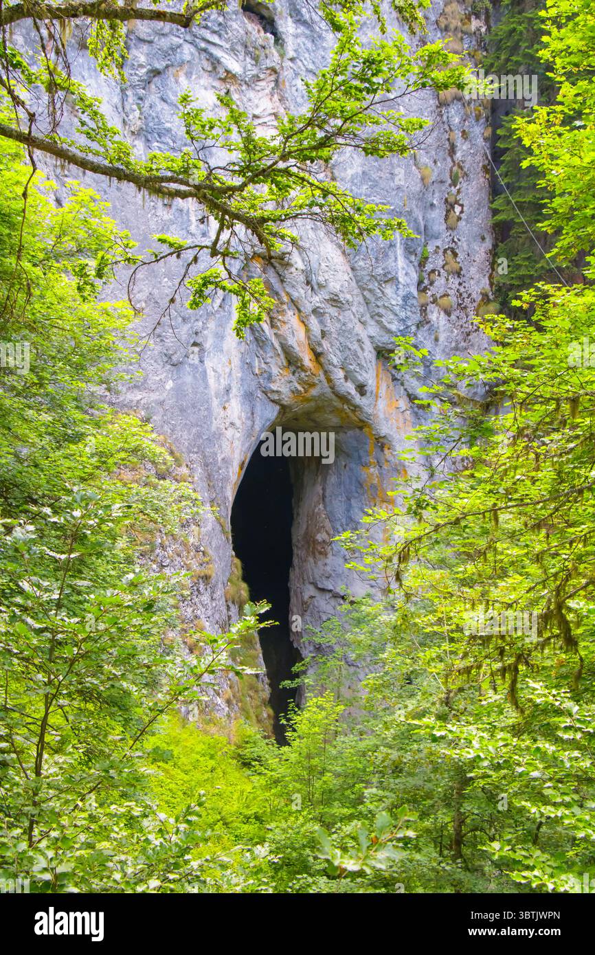 Un ingresso naturale alla grotta emerge da una torreggiante formazione rocciosa circondata da un vivace verde fogliame. La luce solare filtra tra tra gli alberi, evidenziando t Foto Stock