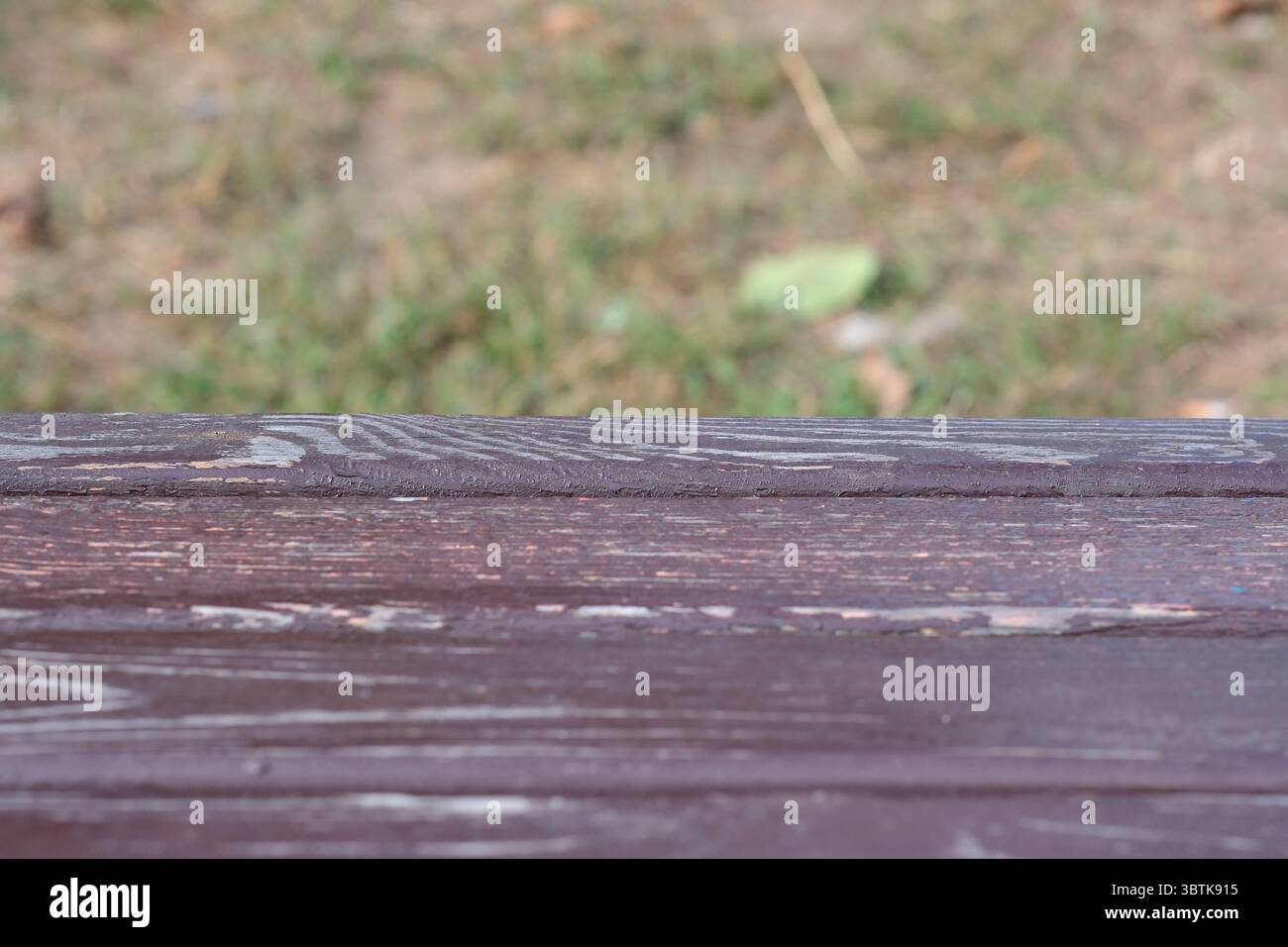 Sfondo in legno per testo, informazioni e area sfocata verde, vuoto per progetti di design, banner, progettazione di siti Web. Foto Stock
