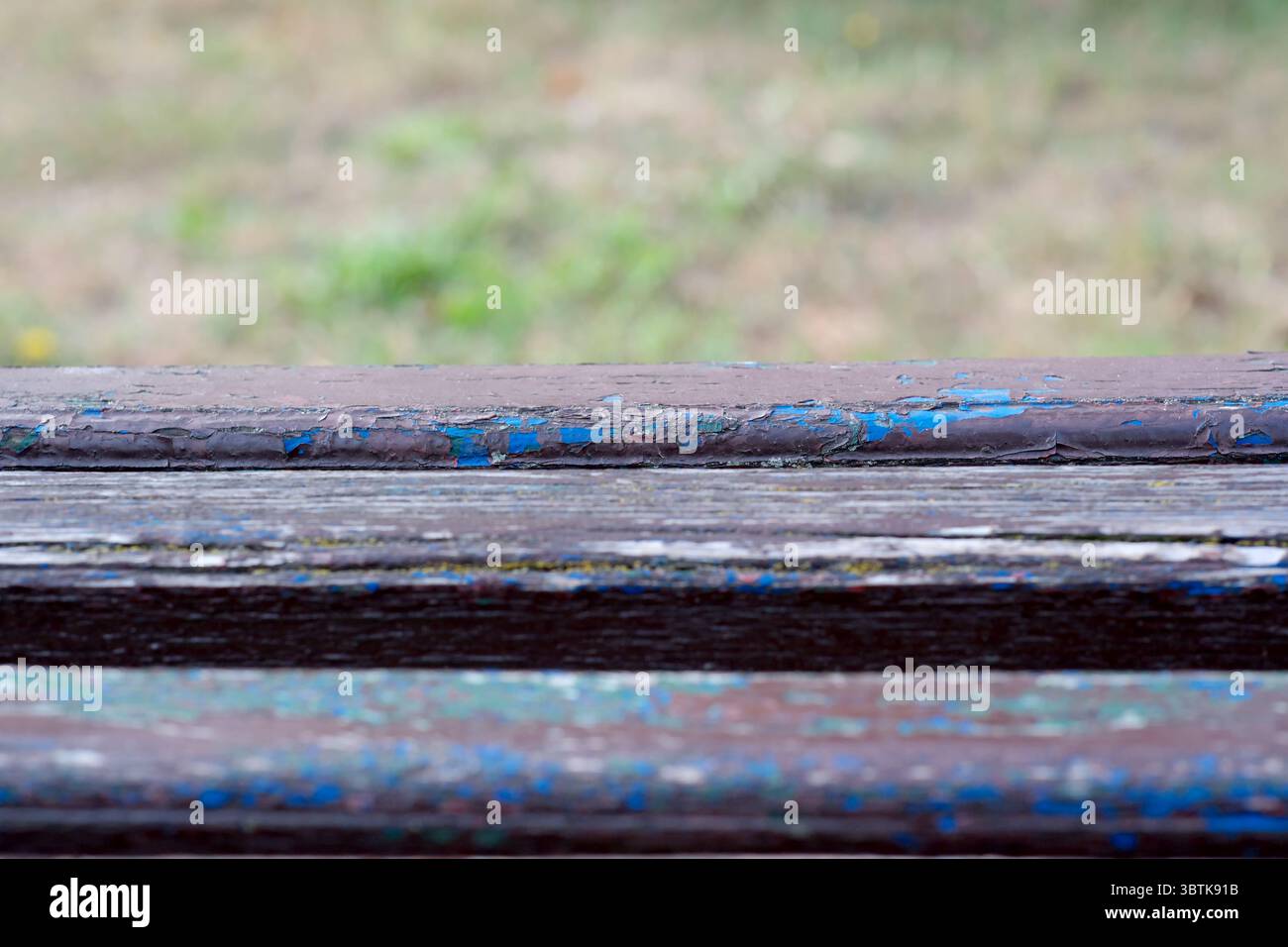 Sfondo in legno per testo, informazioni e area sfocata verde, vuoto per progetti di design, banner, progettazione di siti Web. Foto Stock