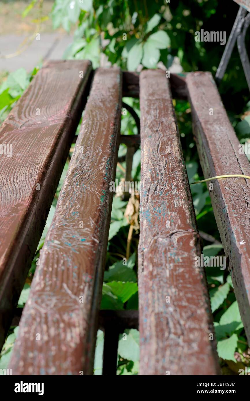 Sfondo in legno per testo, informazioni e area sfocata verde, vuoto per progetti di design, banner, progettazione di siti Web. Foto Stock