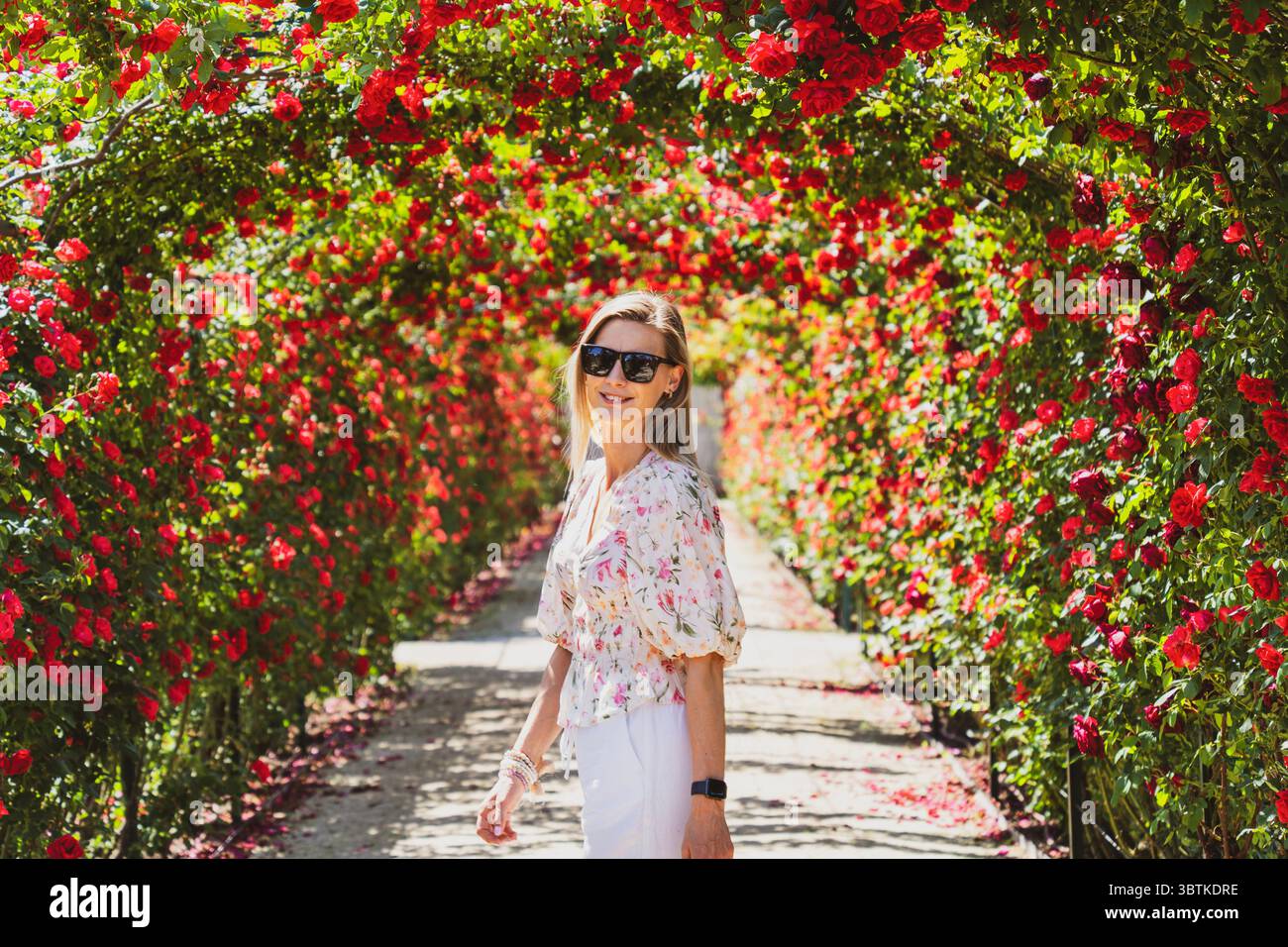 Donna bionda sorridente in occhiali da sole in un giardino di rose rosse Foto Stock