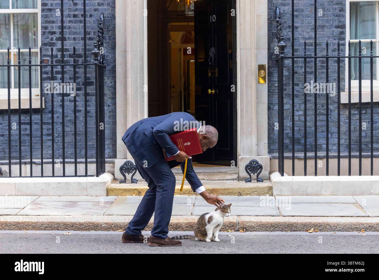 Londra, Regno Unito. 15 luglio 2025. David Lammy, Ministro degli Esteri, ha colpito Larry il gatto fuori dal numero 10. Crediti: Mark Thomas/Alamy Live News Foto Stock