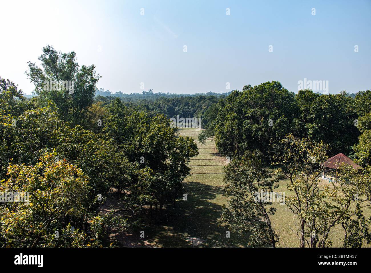 Una tranquilla passeggiata attraverso il Parco Nazionale di Bhawal, Gazipur Foto Stock