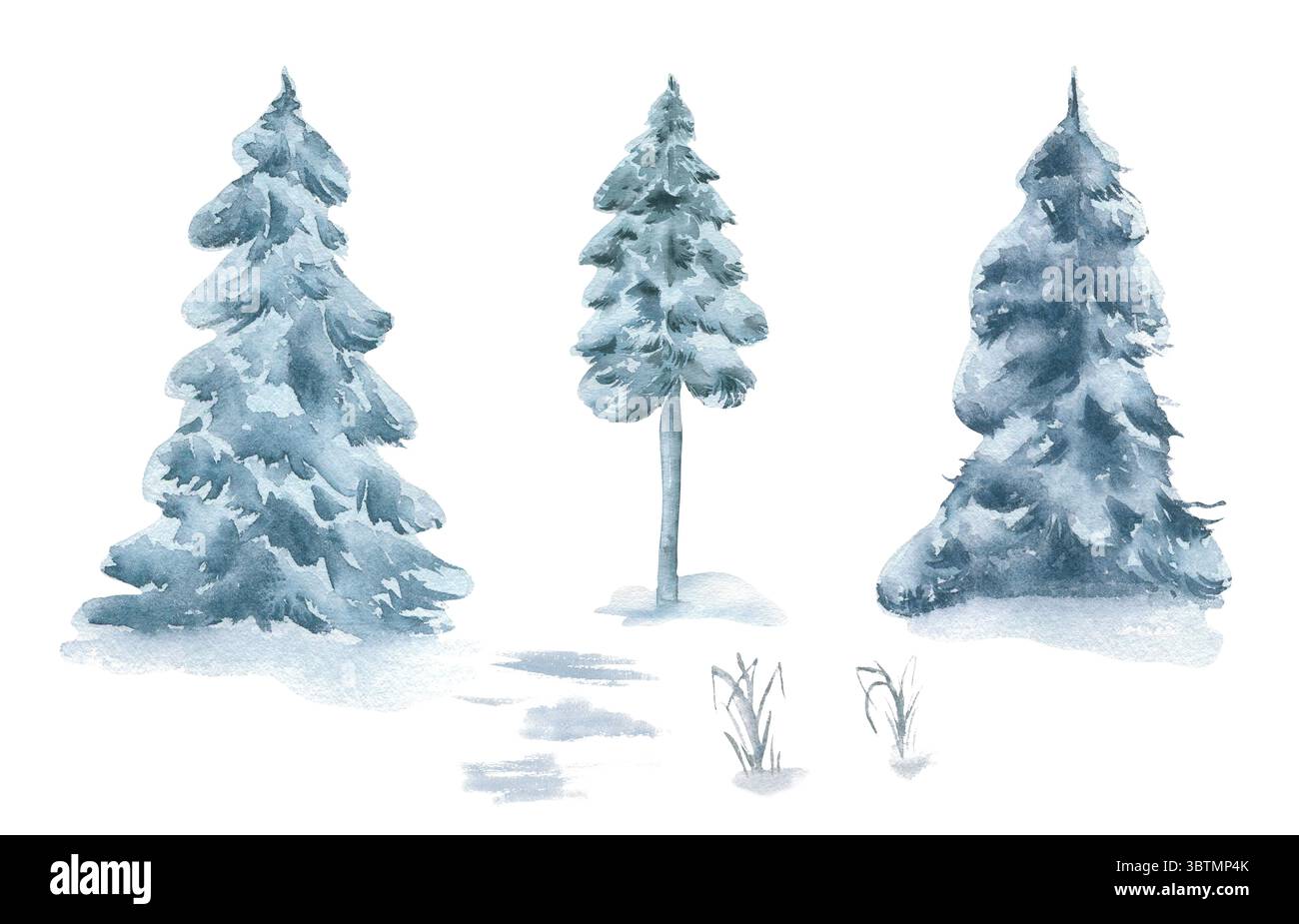 Acquerello della foresta invernale con alberi isolati. Alberi di Natale in morbide tonalità monocromatiche disegnati a mano. Pini dai colori nebbia pallidi. Abete sotto la neve Foto Stock