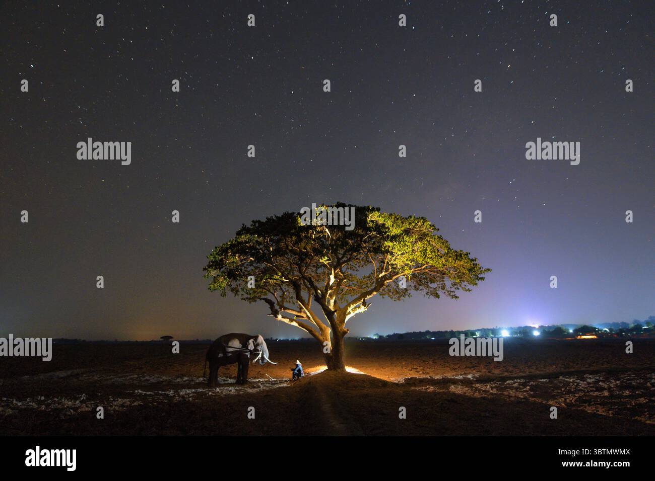 Mahout seduto sotto un albero con il suo elefante all'alba, villaggio di Chang, Surin, Thailandia Foto Stock