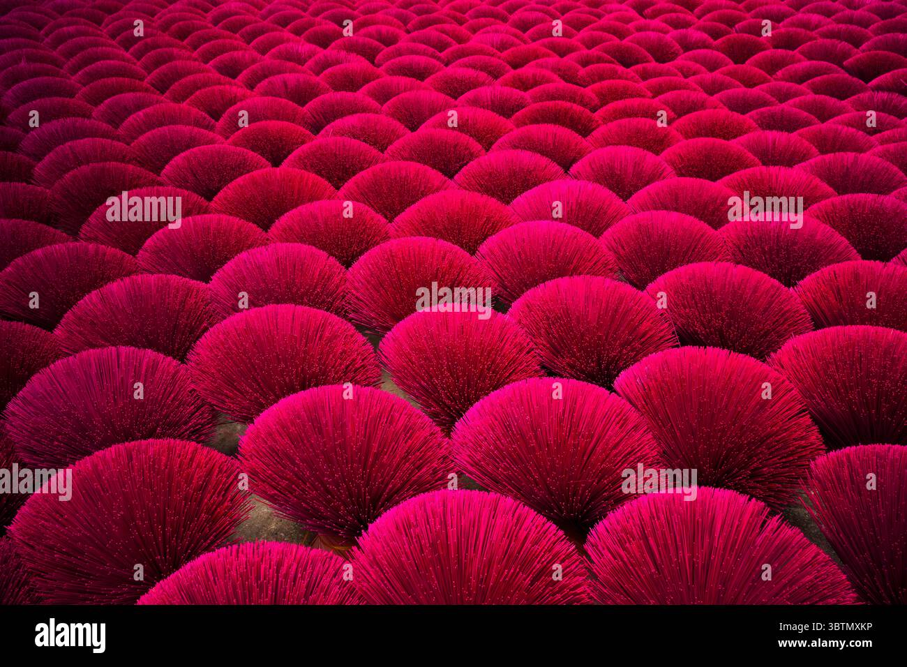 Primo piano full frame di bastoncini di incenso essiccati, Hanoi, Vietnam Foto Stock