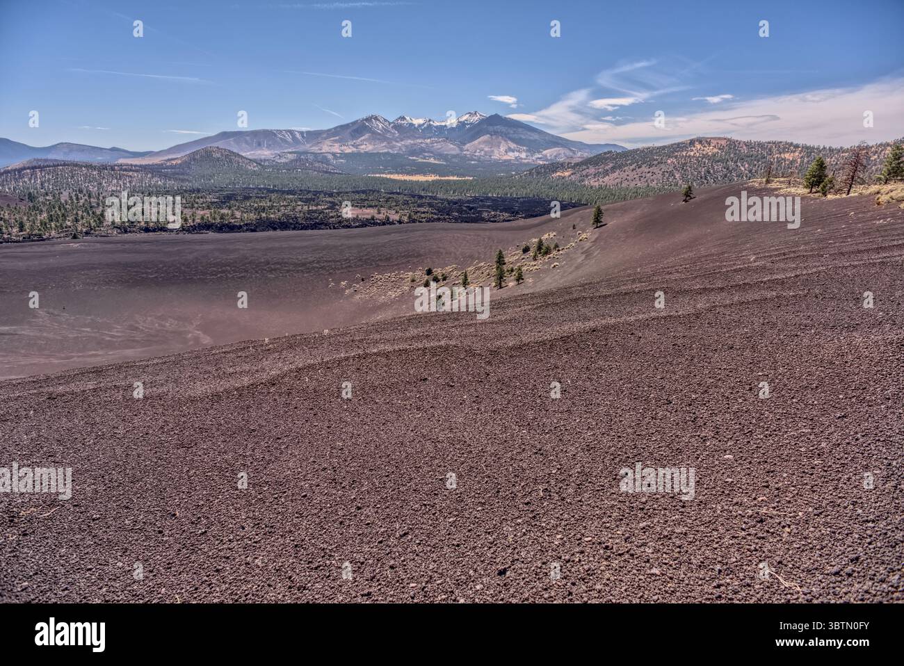 Bordo vulcanico vicino al Sunset Crater National Monument con Humphrey's Peak, Coconino National Forest, Arizona, USA Foto Stock