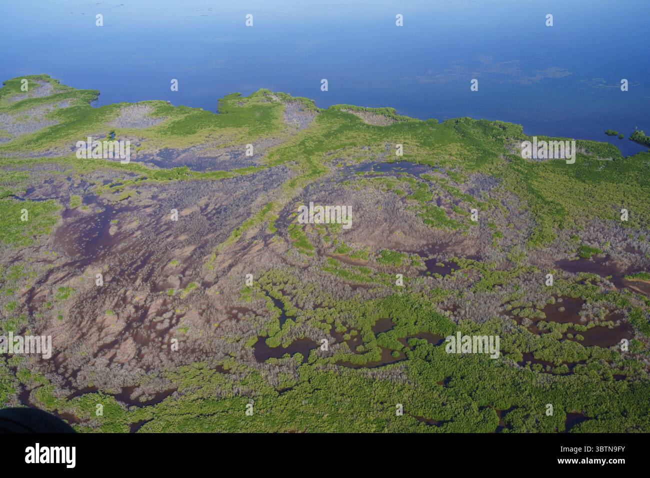 Vista aerea di un vivace arazzo di mangrovie verdeggianti e acque salmastre si intrecciano, creando un affascinante mosaico di arte della natura, Merida, Yucatan, Messico. Foto Stock