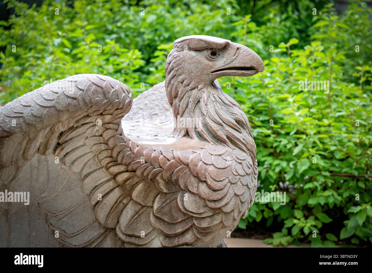 WASHINGTON DC - la Pennsylvania Railroad Station Eagle dello scultore Adolph A. Weinman è esposta allo Smithsonian's National Zoo in Connecticut Avenue. La scultura in granito rosa alta 1,5 metri è una delle ventidue aquile che originariamente abbellivano la stazione ferroviaria della Pennsylvania a New York. La stazione neoclassica, progettata dopo la Villa Adriana vicino a Roma, copriva 7,5 acri (3 ettari) sulla Eighth Avenue nel centro di Manhattan e costava oltre 120 milioni di dollari quando fu completata nel 1910. Quando la stazione fu demolita nel 1965, questa aquila fu donata allo Smithsonian Institution. La scultura Foto Stock