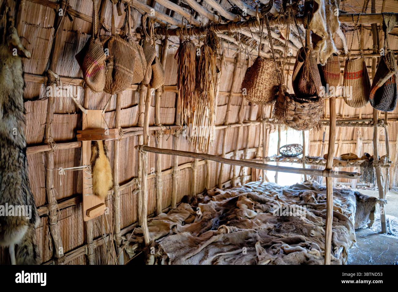 Paspahegh Town Interior Jamestown Settlement Williamsburg Virginia // WILLIAMSBURG, Virginia - Paspahegh Town at Jamestown Settlement ricrea il tradizionale stile di vita del popolo Paspahegh, uno degli oltre 30 gruppi tribali di lingua algonchina che appartenevano al capo supremo Powhatan. La ricreazione si basa sui ritrovamenti archeologici dei siti lungo il fiume James, sulla tradizione orale dello stato della Virginia e sulle tribù riconosciute a livello federale, e sulle descrizioni registrate dai coloni inglesi nel XVII secolo. Il boscoso schiumoso presenta case coperte di canne, aree cucina e agricultura Foto Stock
